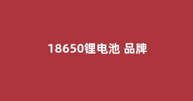 18650锂电池 品牌(18650锂电池品牌评测)_https://www.jnskb.com_装修公司_第1张